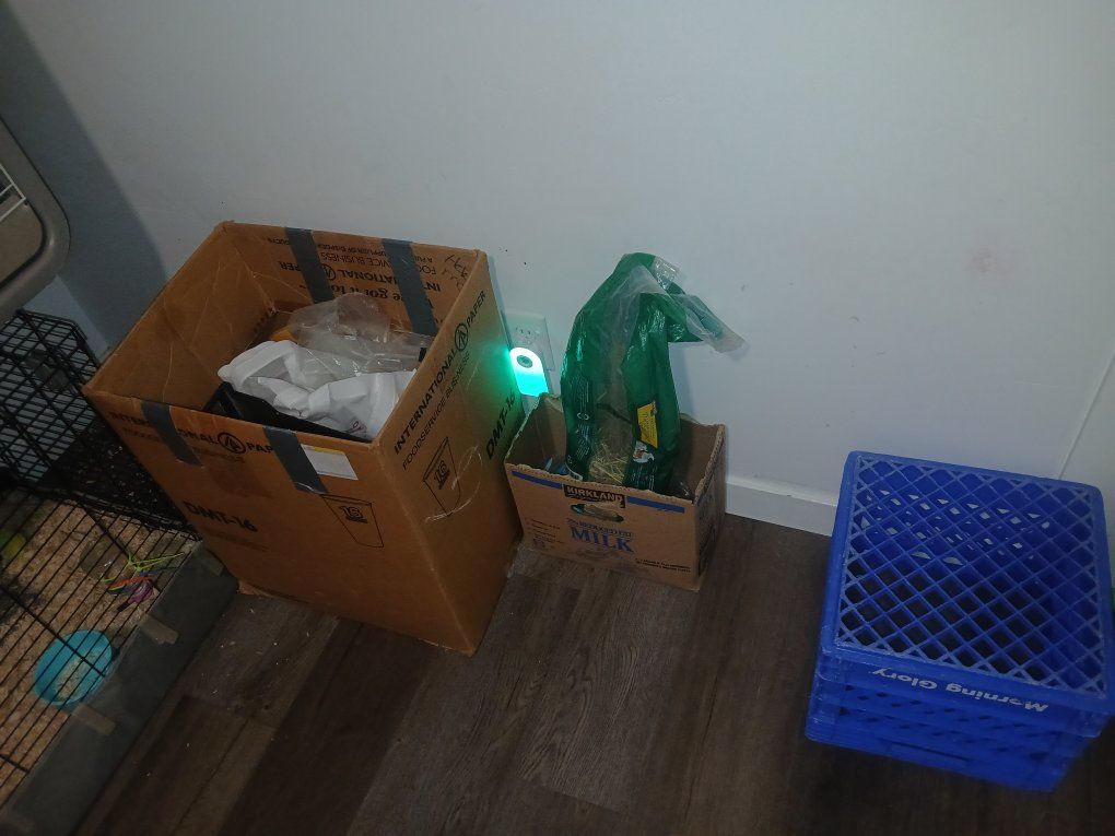 Main image 3