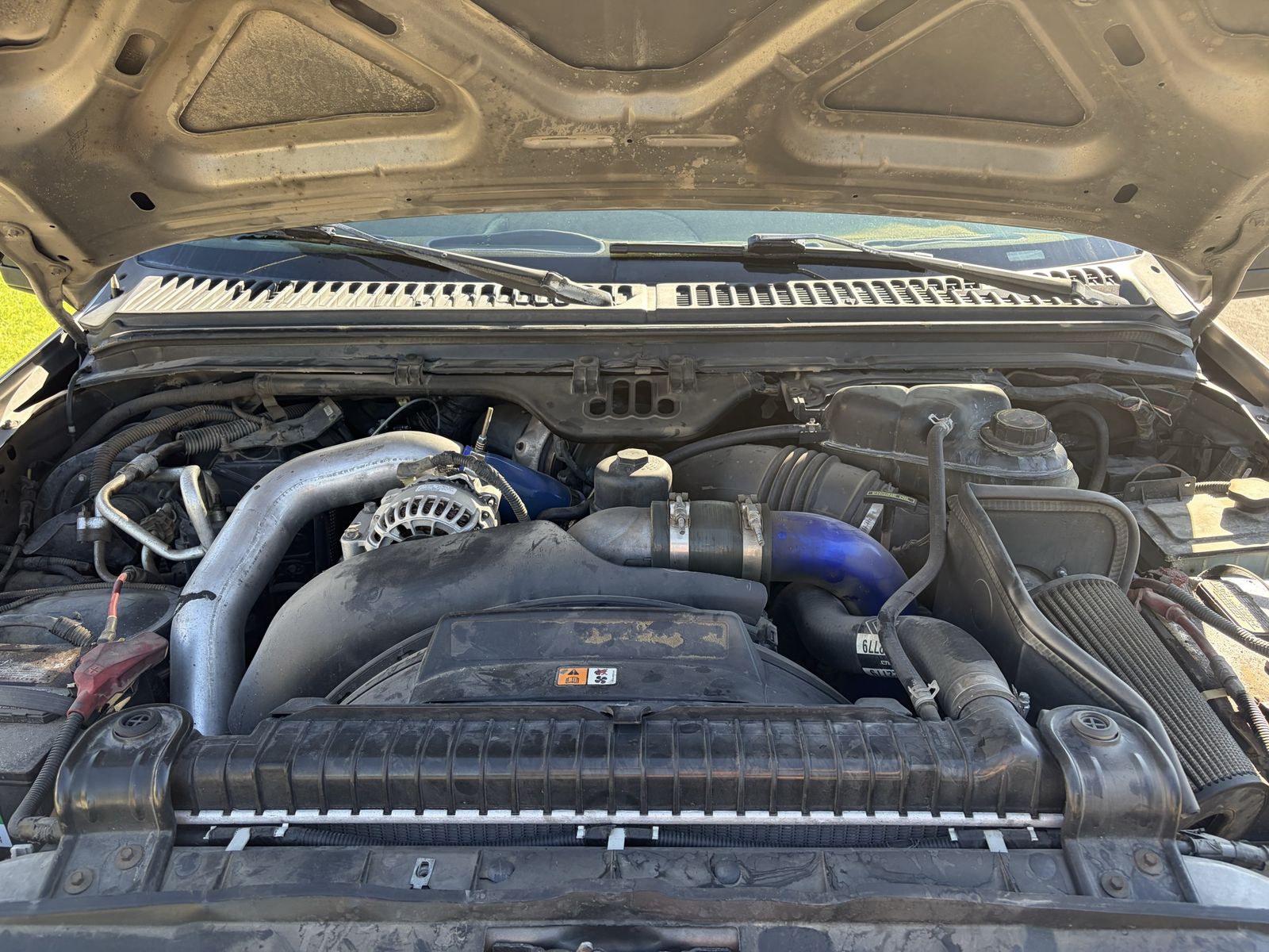Main image 5