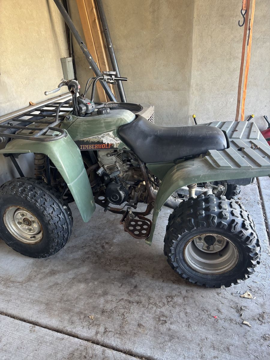 1996 Yamaha Timberwolves