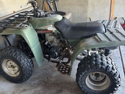 1996 Yamaha Timberwolves