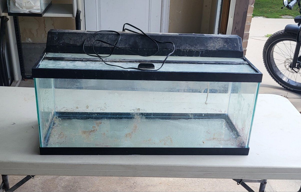 aquarium,  20 gallon long