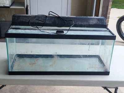 aquarium, 20 gallon long