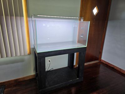 66 Gallon Rimless Aquarium, Stand & Light
