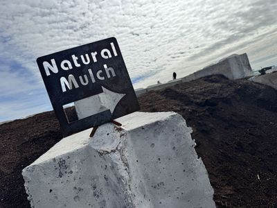 Natural Mulch