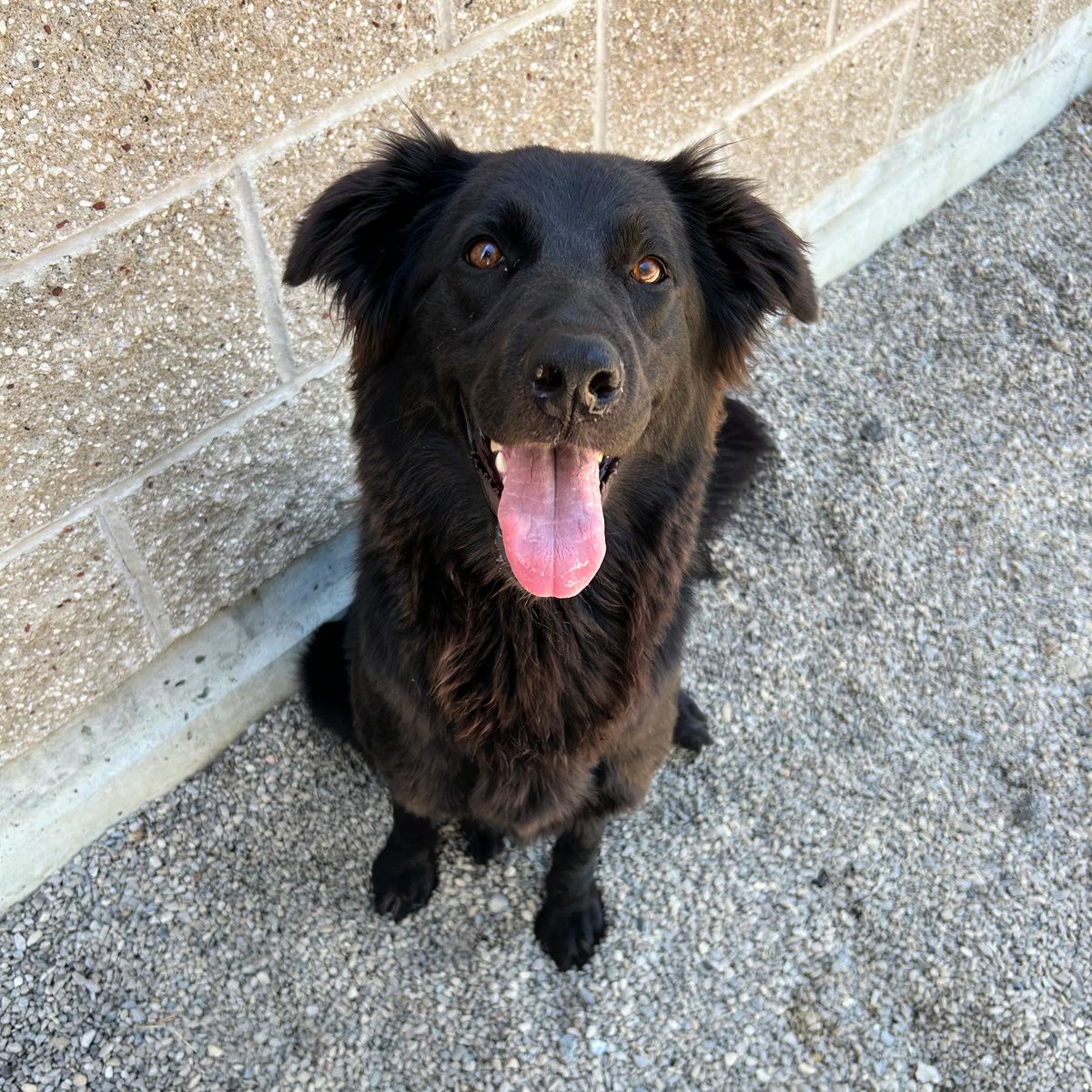 Zena