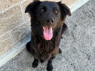 Zena