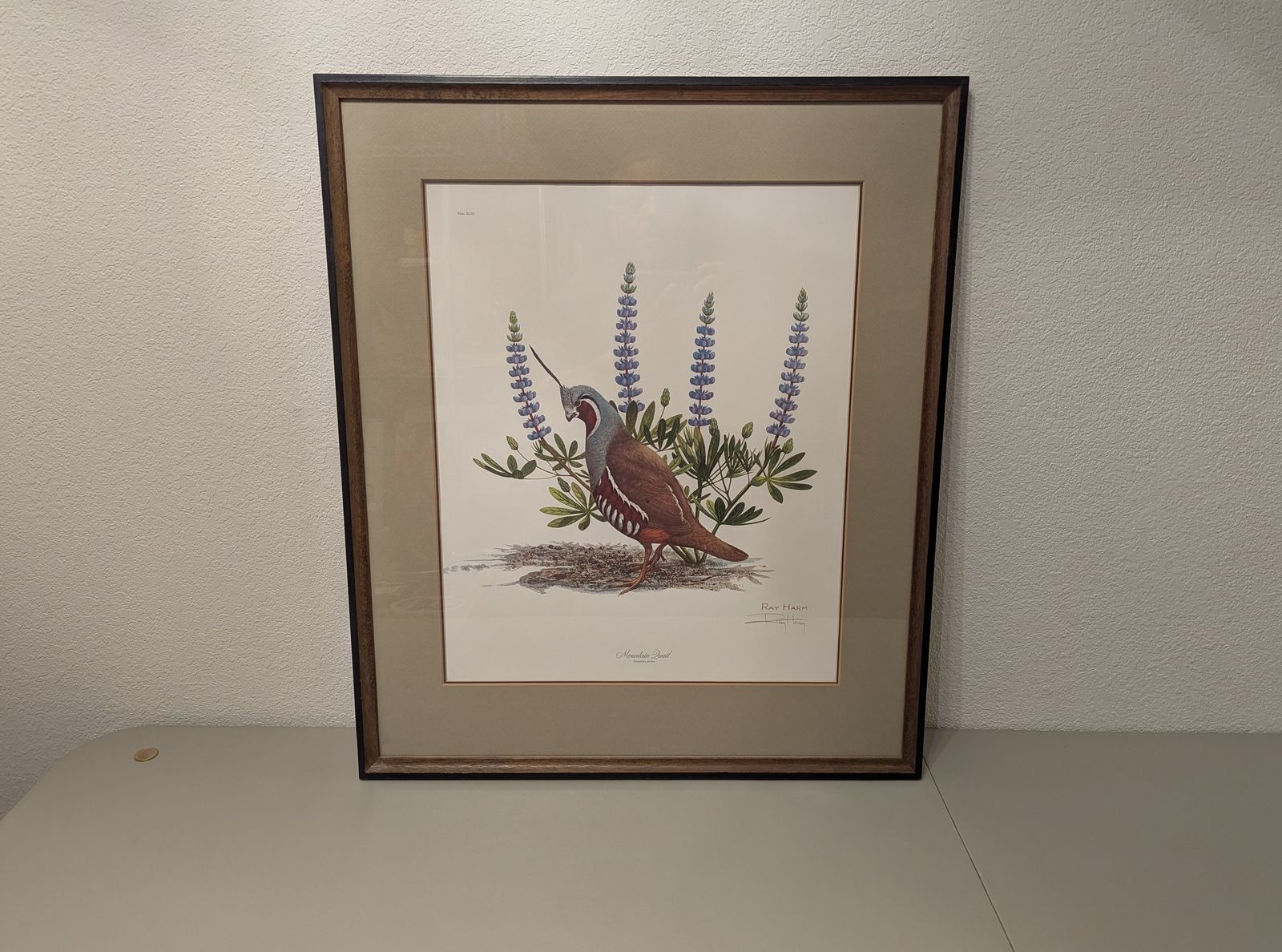 ray harm hand signed limited edition offset lithograph   1975