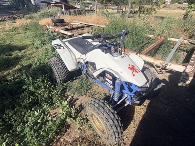 1986 Trx 250r