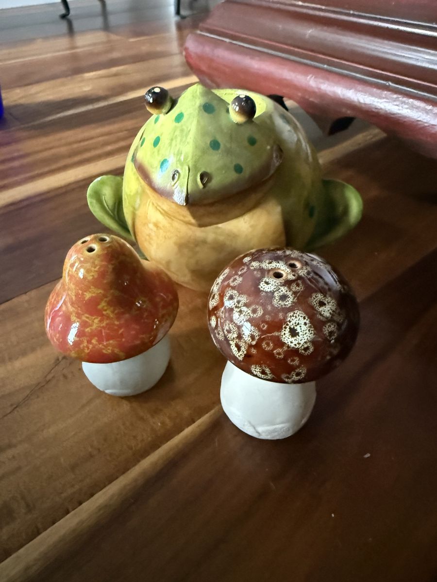 Frog With Salt and  Pepper Shakers