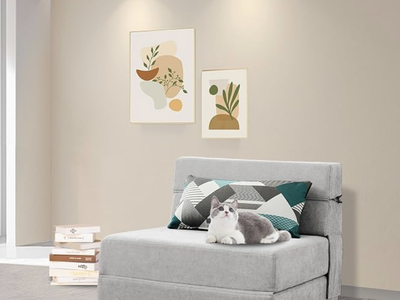 New in Box! Folding Sofa Foam Pad