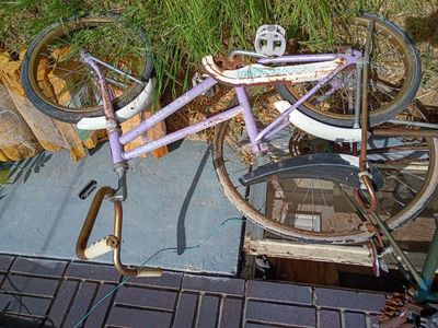 Classic Schwinn Starlett 18" bike circa 1968