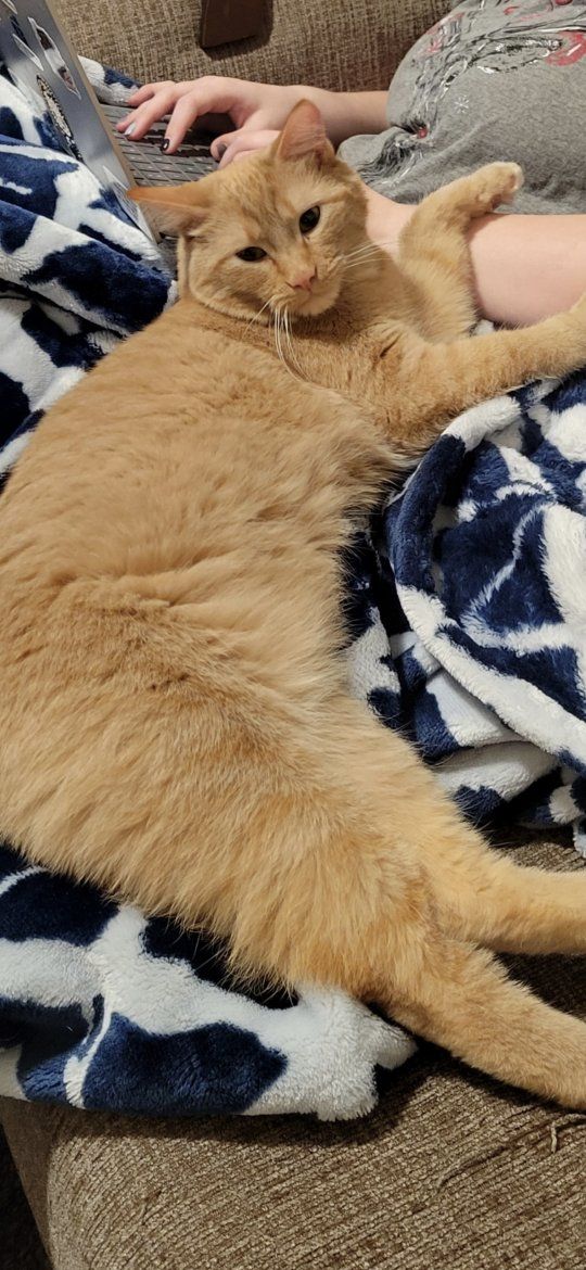 *SPECIAL NEEDS* male