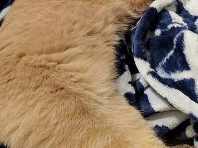 *SPECIAL NEEDS* male