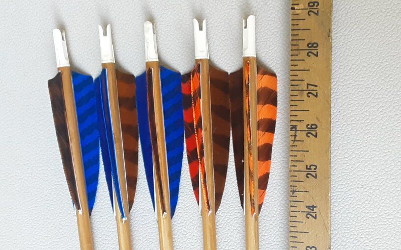 Port Cedar arrows w/field tips