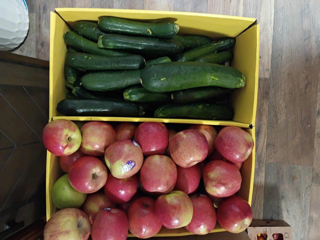 Assorted Fresh Produce Lot - Melons, Corn, Apples, Zucchini & Aloe Vera $1 or $2 Opens at noon
come check us out