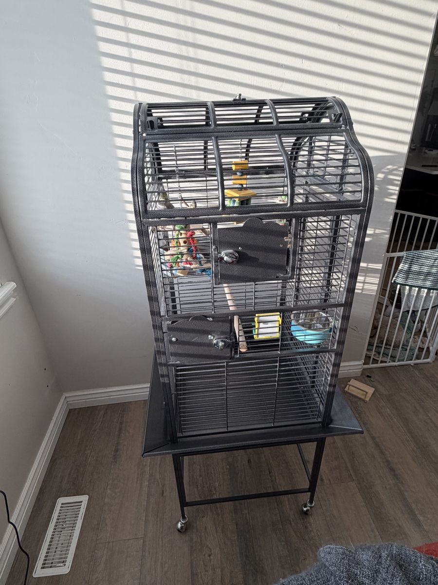 Bird Cage