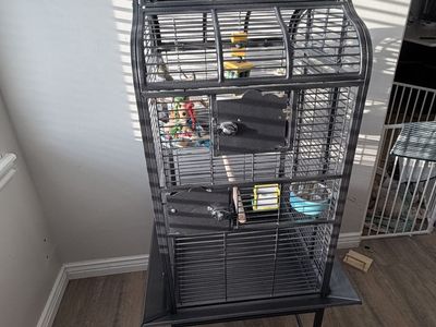 Bird Cage