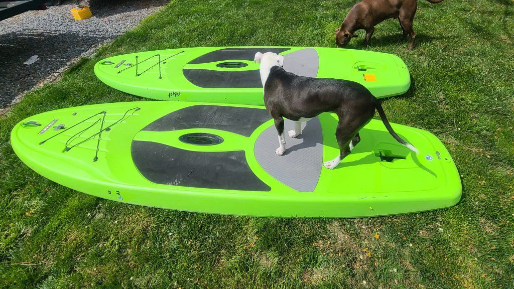 lifetime paddle board