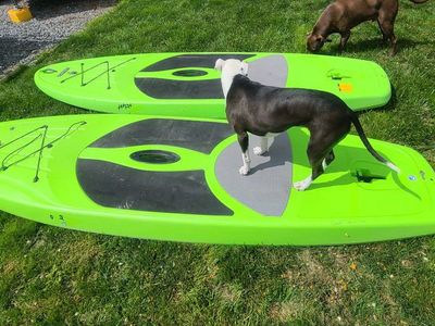 lifetime paddle board