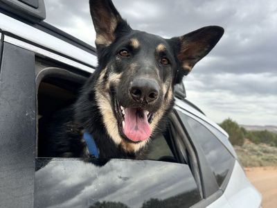 Hello my name is Logan