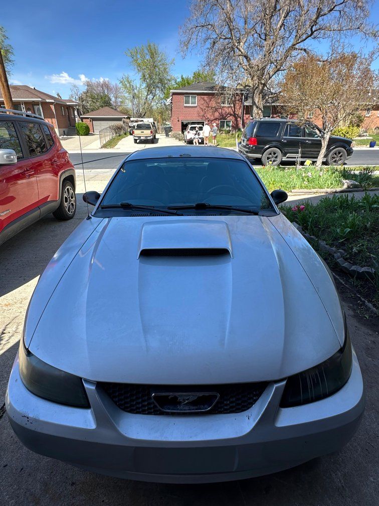 2004 Ford Mustang GT 50 Years Limited Edition