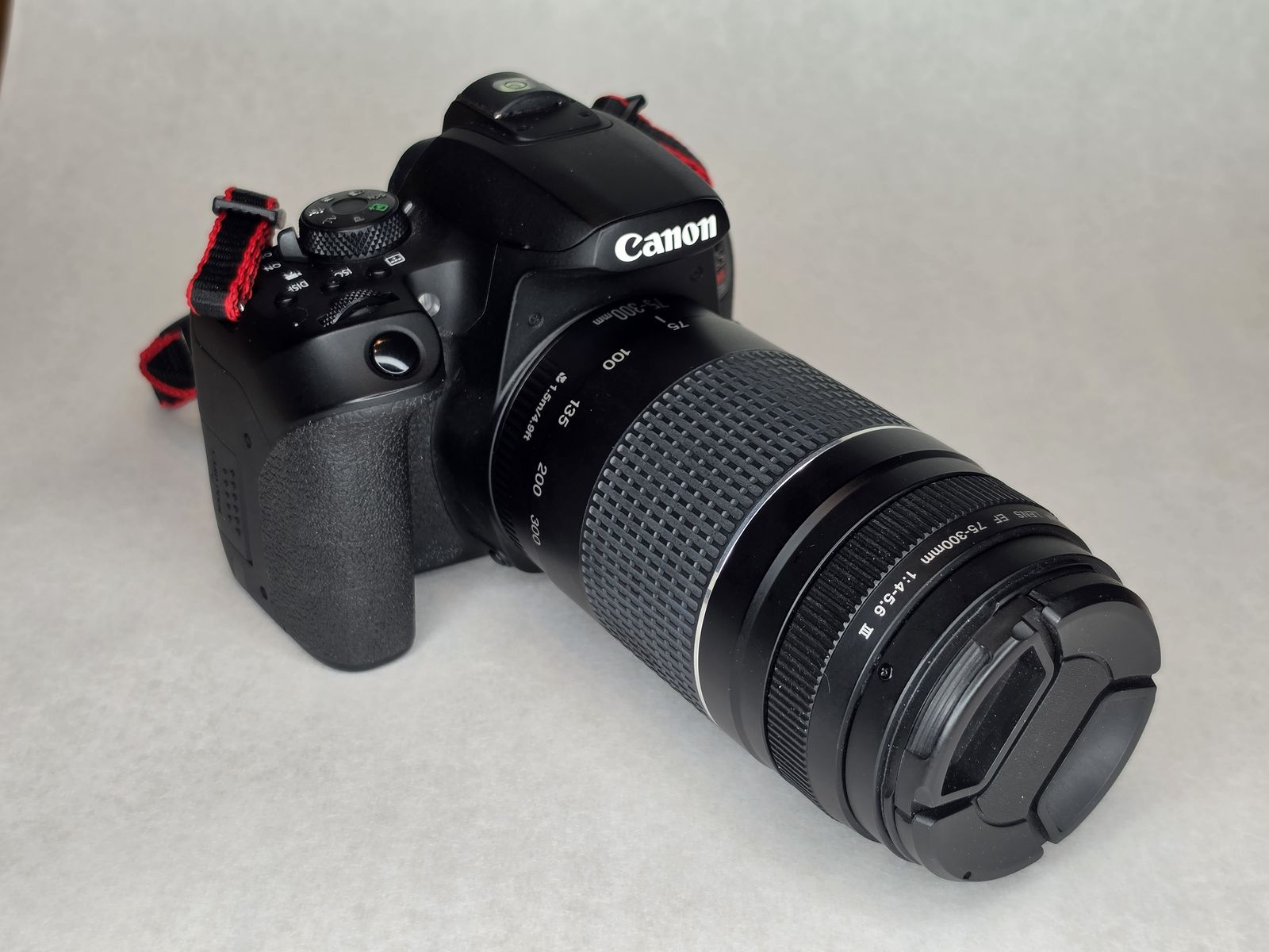 Canon Rebel T8i 2-Lens Bundle: Everyday & Telephoto Kit Ready to Shoot (18-55mm & 75-300mm)