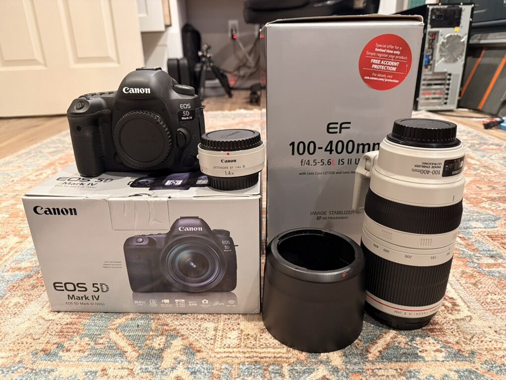 Canon 5D Mark IV + EF 100–400mm II + 1.4x