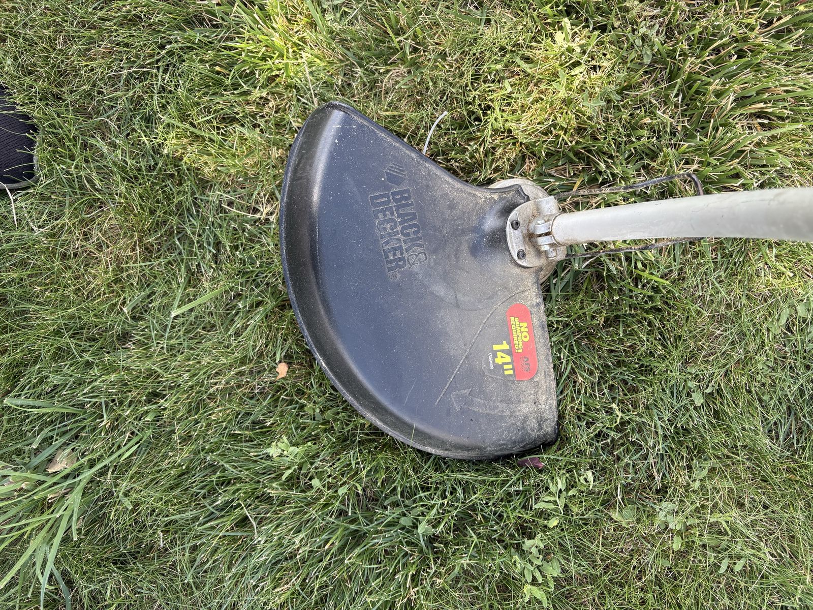 Main image 4