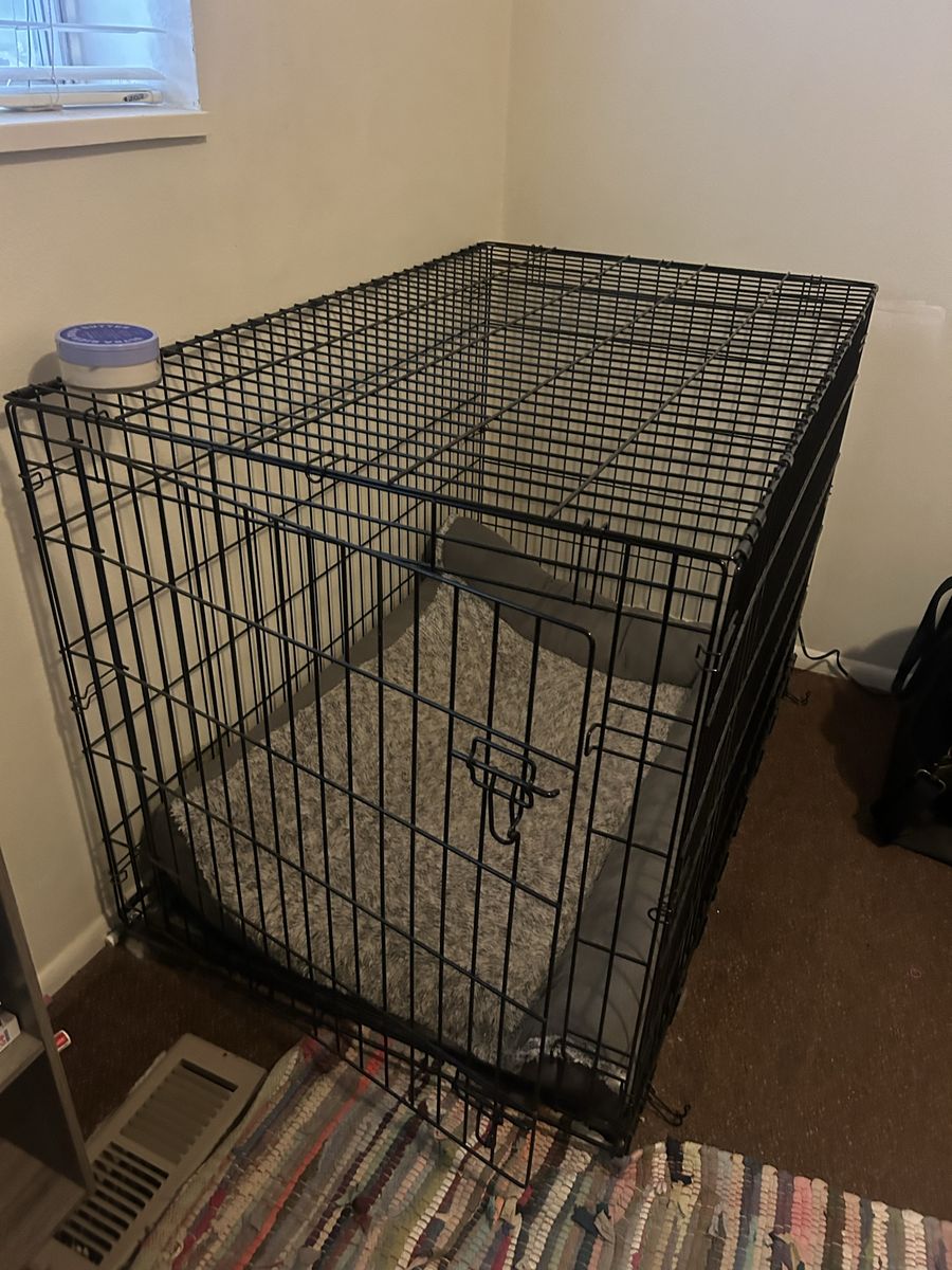 Large Black Wire Dog Crate Kennel with Bed - Used, Good Condition
