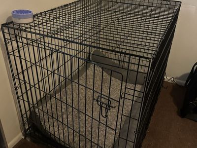 Large Black Wire Dog Crate Kennel with Bed - Used, Good Condition