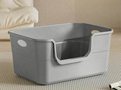 Large Cat Litter Box with High Sides, Low Entry, Gray