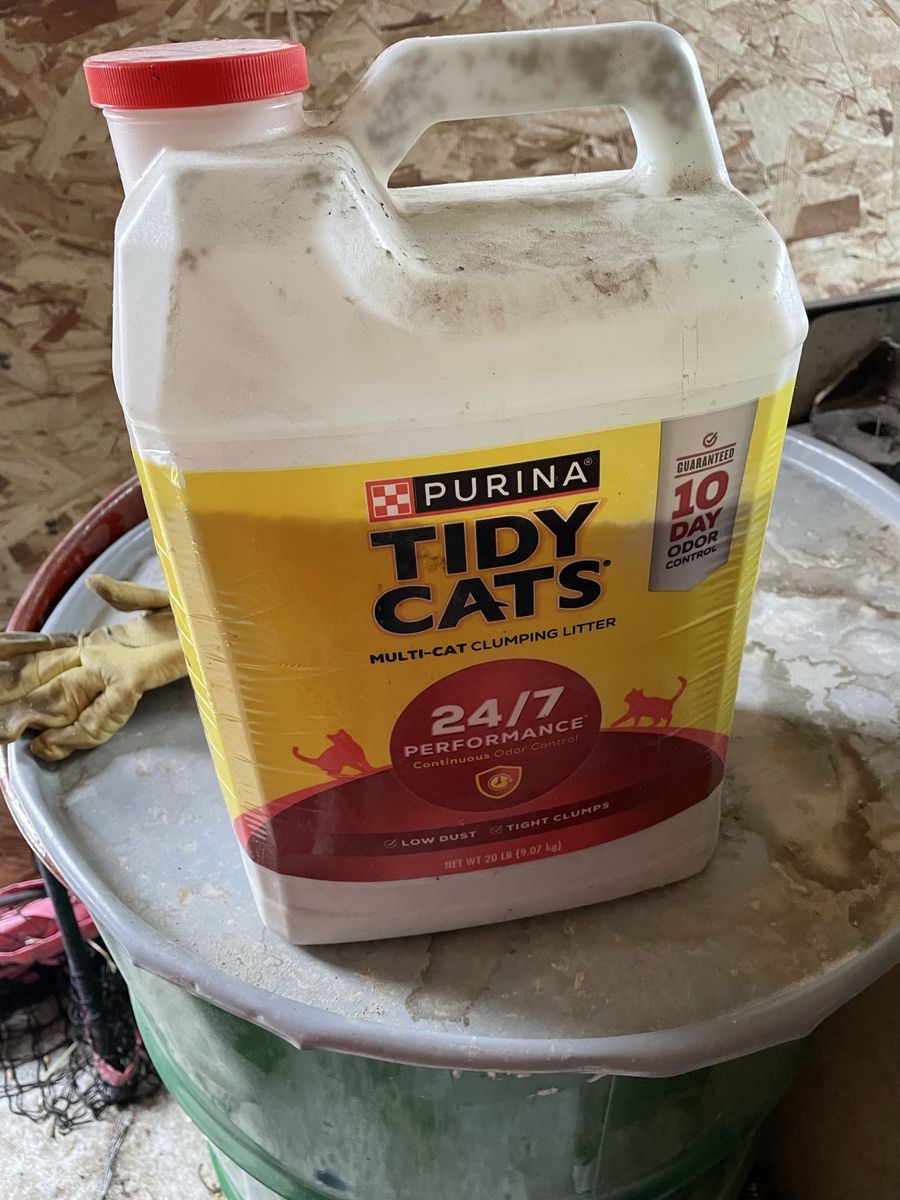 Cat Litter