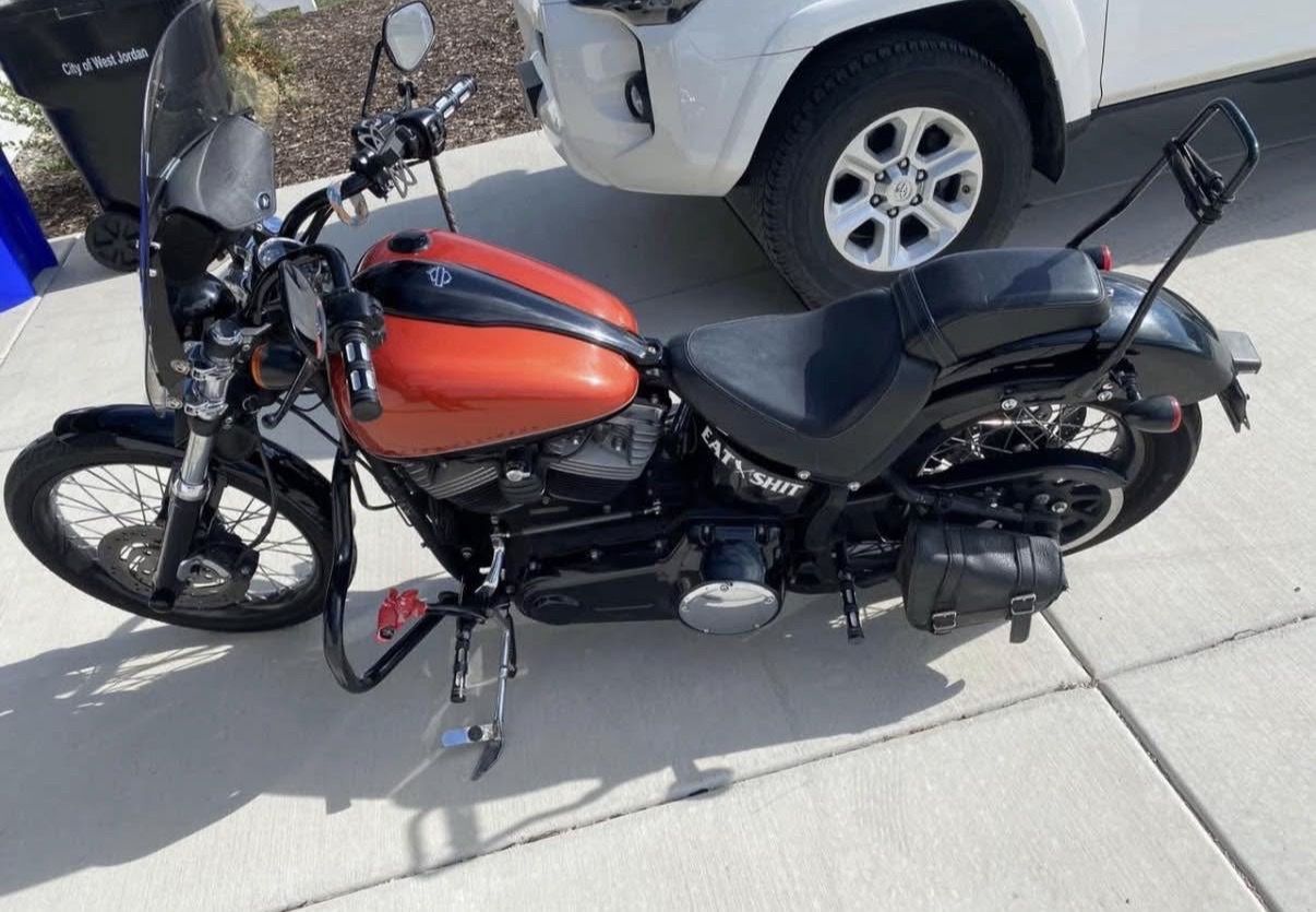Harley Davidson Softline