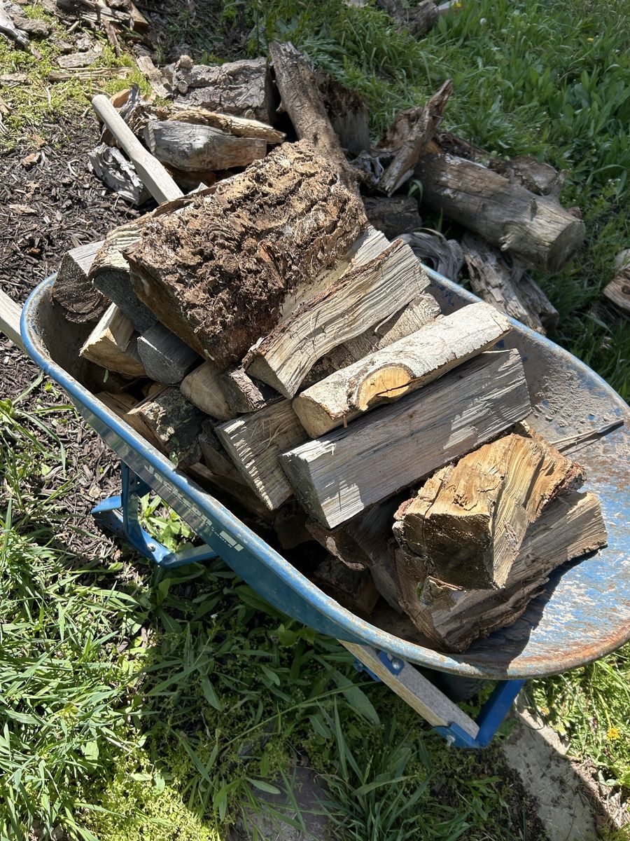 FREE FIREWOOD