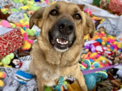 Hello my name is Pretty Girl