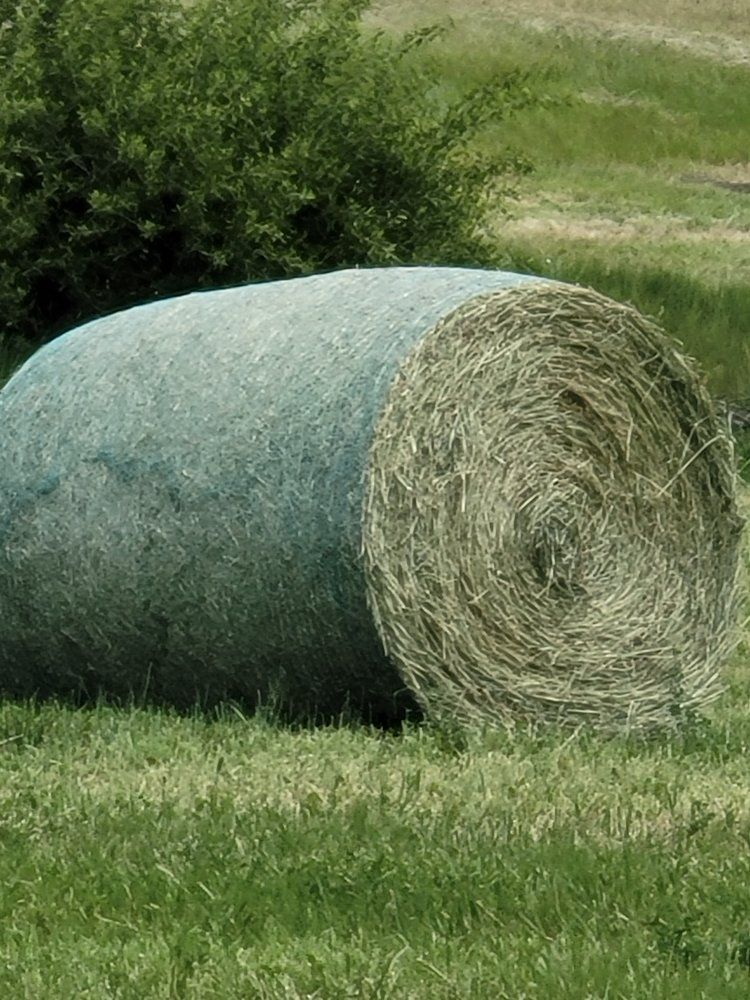 Round bales grass/alpha