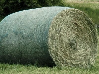 Round bales grass/alpha