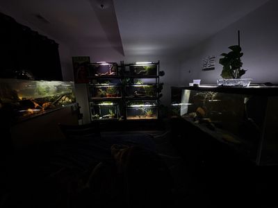 WILL TAKE IN UNWATED FISH