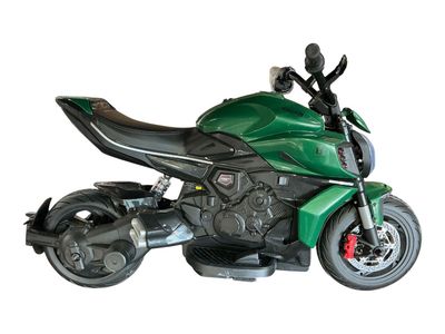 Ducati Style Kids Ride-On Motorcycle Electric 12V Green Toy Bike