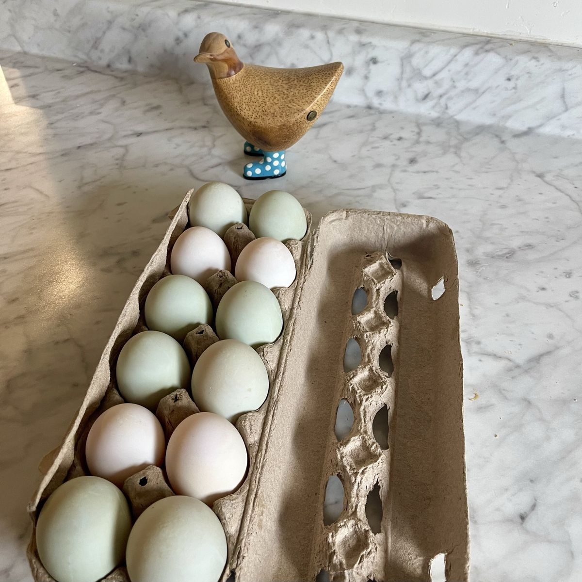 Fresh, Large Free-Ranged Duck Eggs - Dozen