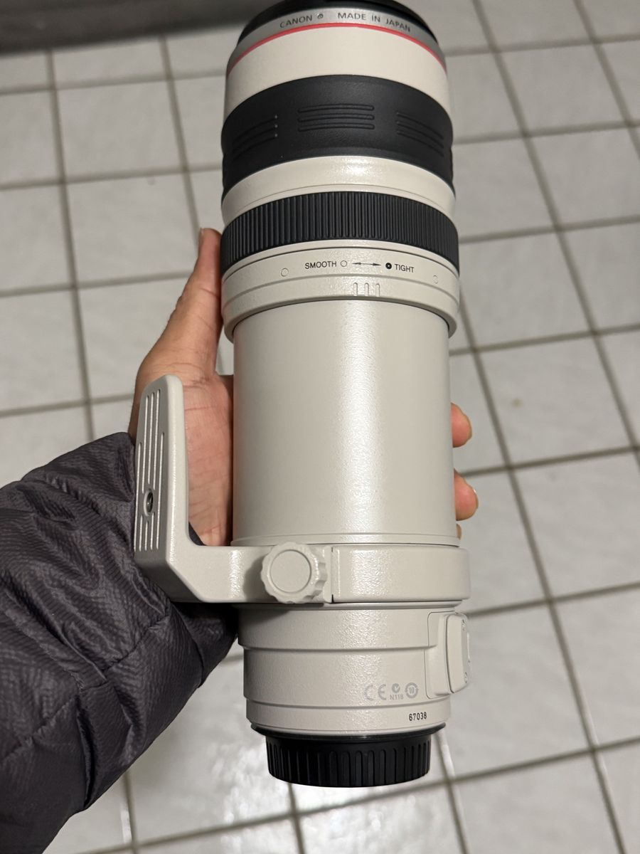 Canon EF 28-300mm f/3.5-5.6L IS USM Lens - Image Stabilized Telephoto Zoom