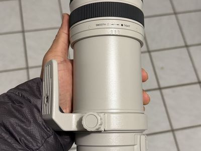 Canon EF 28-300mm f/3.5-5.6L IS USM Lens - Image Stabilized Telephoto Zoom