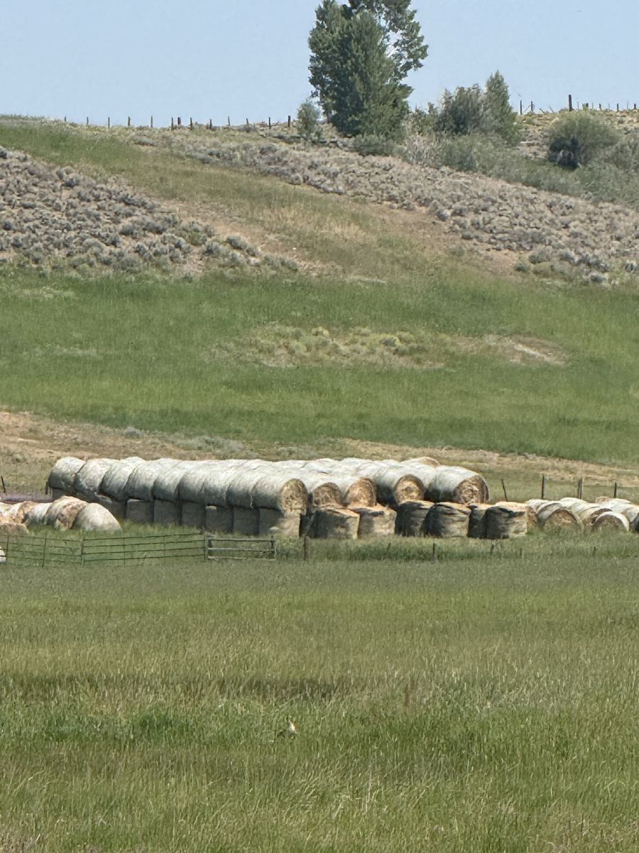 2-Year-Old Large Round Grass Hay Bales - $75 per bale.