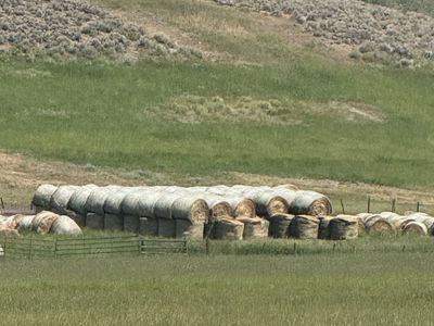 2-Year-Old Large Round Grass Hay Bales - $75 per bale.