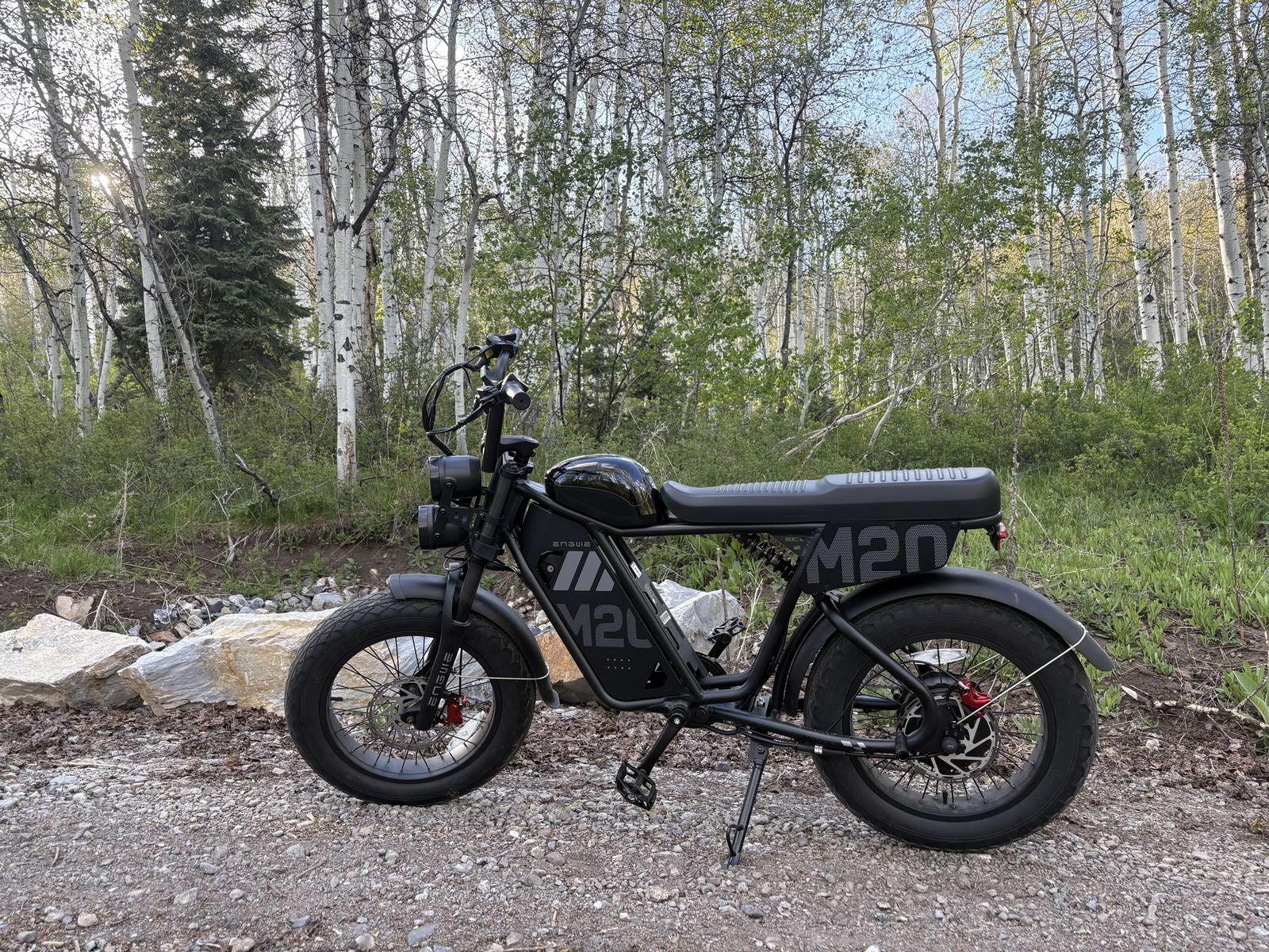 ENGWE M20 3.0 Electric Fat Tire Bike