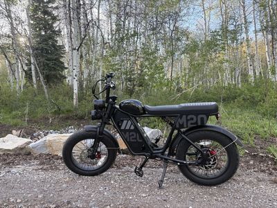 ENGWE M20 3.0 Electric Fat Tire Bike