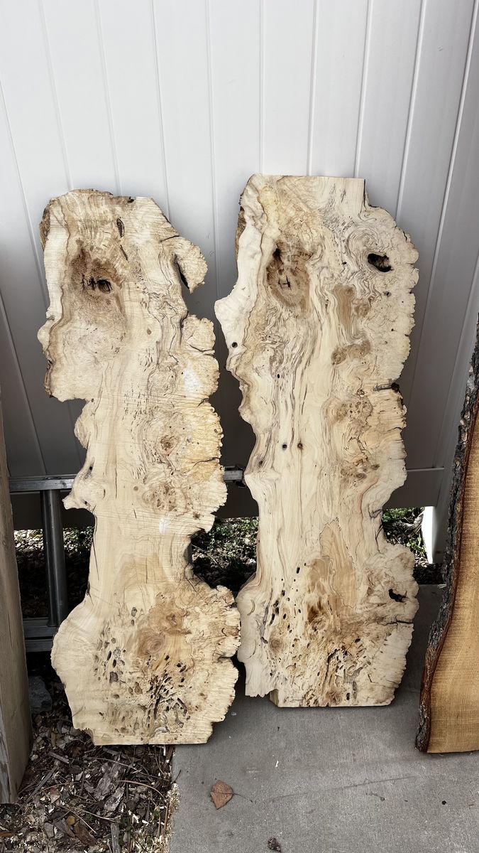 Maple Burl Slabs