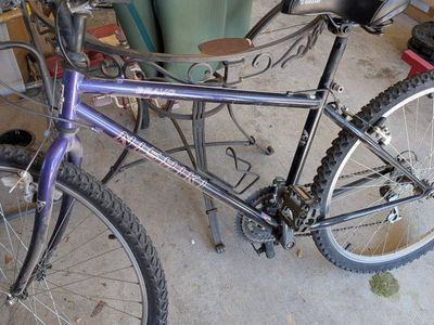 bravo nishiki MTN bike