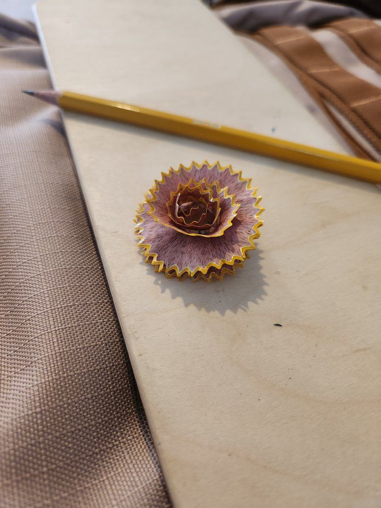 Standard Yellow Wooden Pencil with Sharpened Pencil Shaving Art