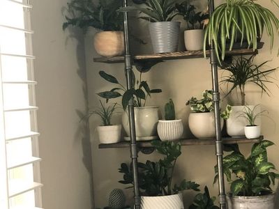 Industrial Pipe Wall-Mount Shelving Unit
